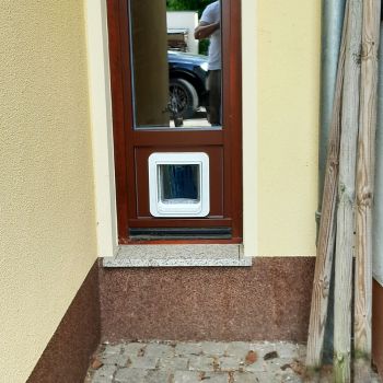 1flügl. Fenster mit Katzenklappe